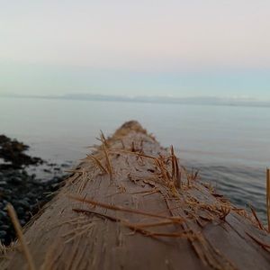 Meet your Posher, Sydney